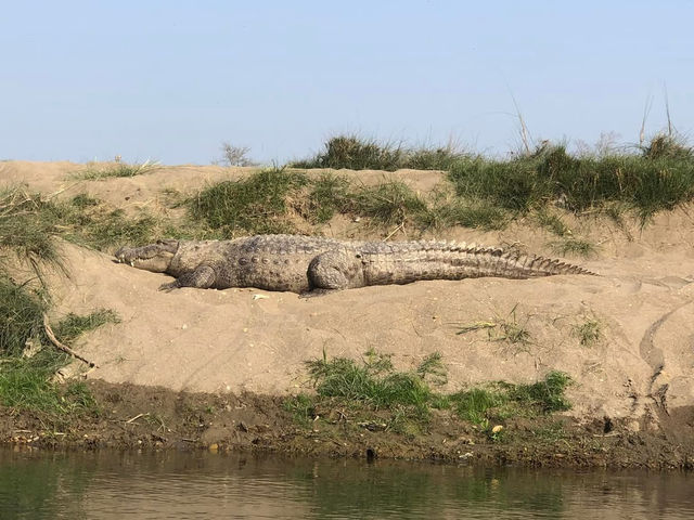 奇特旺國家公園