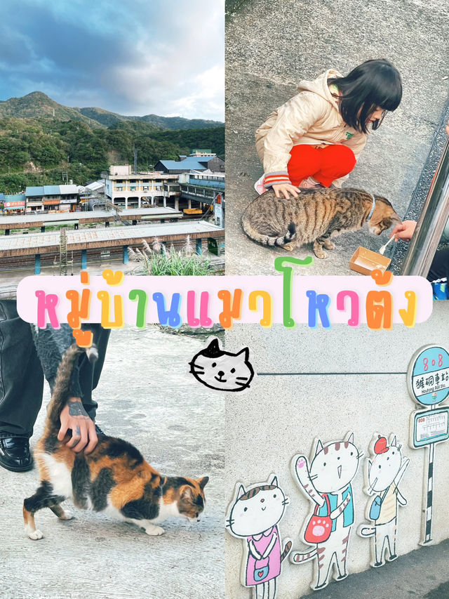 Houlong Cat Village หมู่บ้านที่ทาสแมวต้องหลงรัก 💖
