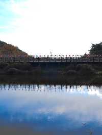 韓國大邱_秋意必訪 桐華寺Donghwasa Temple