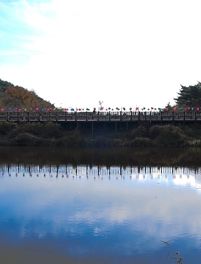 韓國大邱_秋意必訪 桐華寺Donghwasa Temple