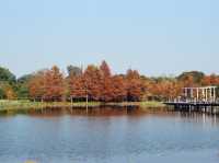 The Hong Kong Wetland Park — Nature in an Urbanscape