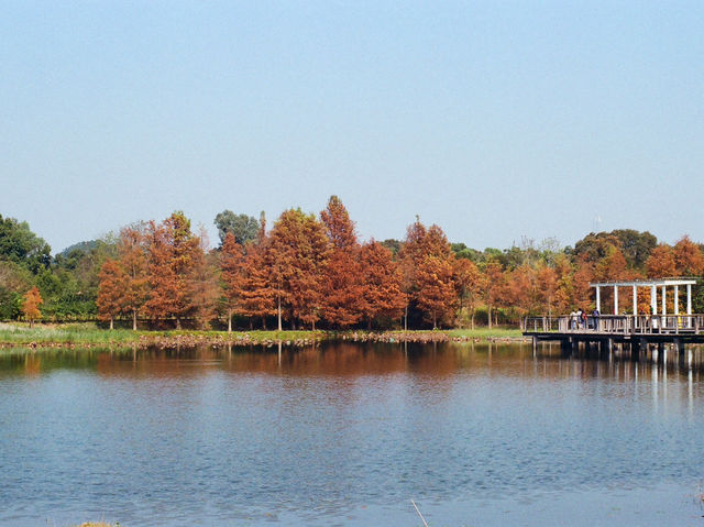 The Hong Kong Wetland Park — Nature in an Urbanscape