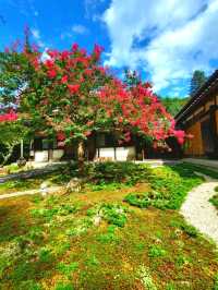 【百日紅咲く青岸寺】