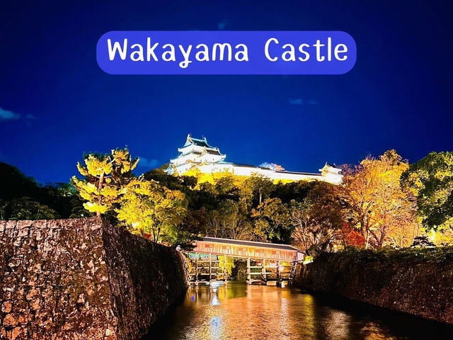 ปราสาทวากายามะ (Wakayama Castle)