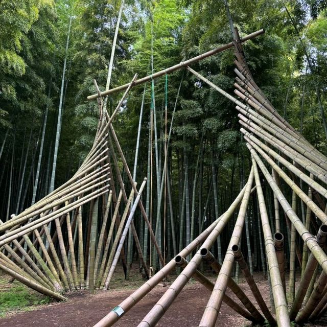【栃木県】宇都宮〜王道観光&グルメ〜