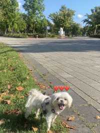 봄에 떠나는 부산시민공원🌳❤️