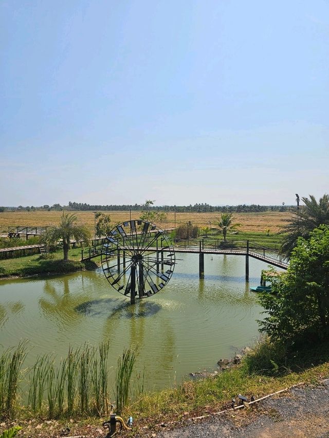 The Farmer cafe & restaurant : เพชรบุรี