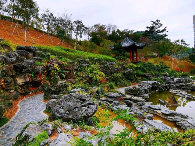 玉龍公園