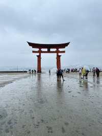 日本廣島-嚴島神社：世界文化遺產，此生必來朝聖靈氣十足又神聖之處