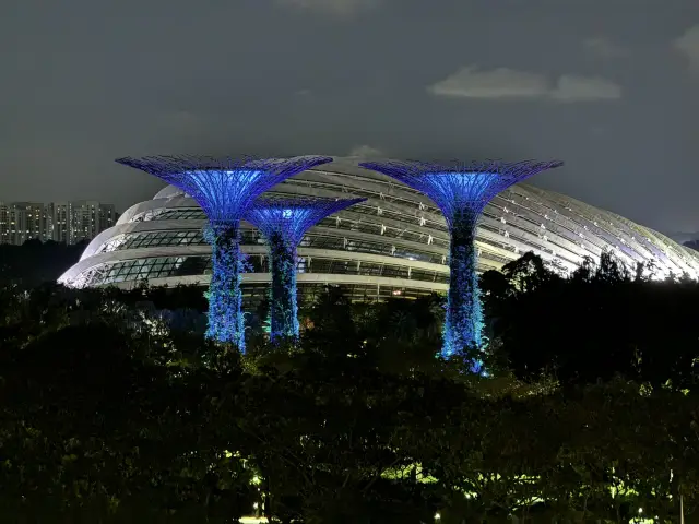 在新加坡慶祝未來和過去🌆✨