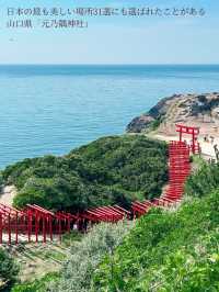 【海に臨む123基の赤い鳥居⛩️】お賽銭入るかなチャレンジも楽しめる絶景神社