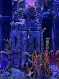 Let's go to Sea Life Bangkok