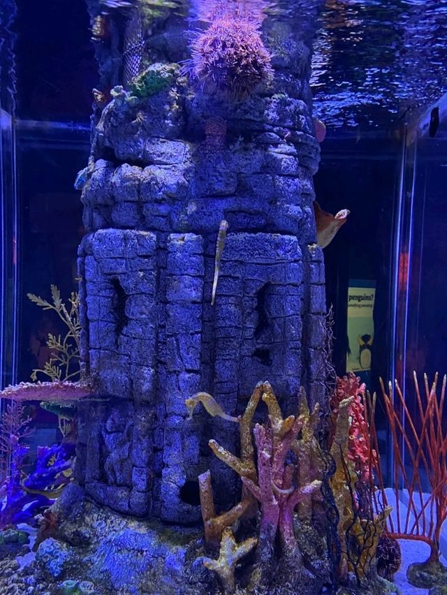 Let's go to Sea Life Bangkok