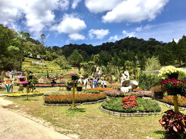 Frost-Kissed Floral Haven @Betong