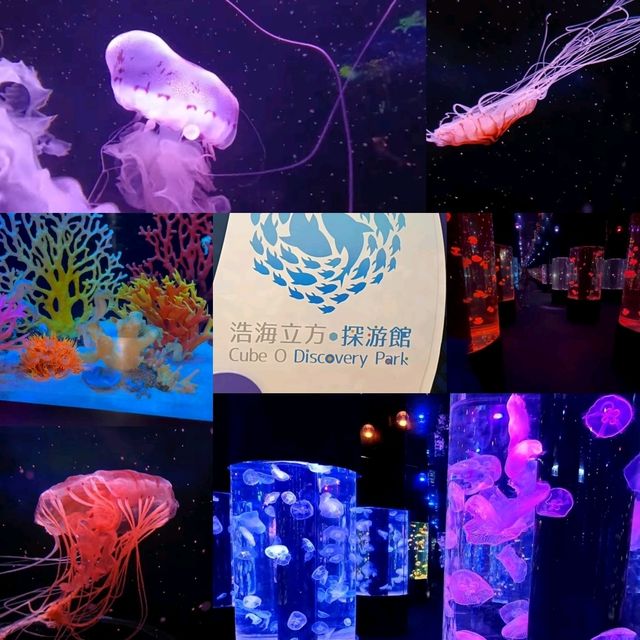 情侶好去處