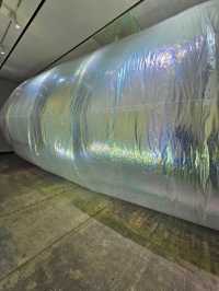 ■奥中章人「Synesthesia ーアートで交わる五感ー」展 
