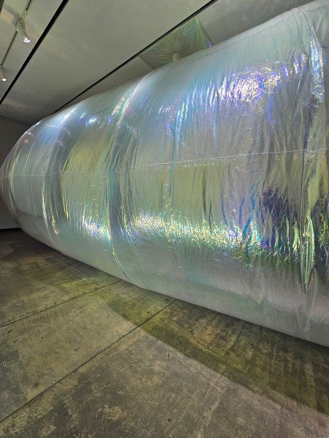 ■奥中章人「Synesthesia ーアートで交わる五感ー」展 