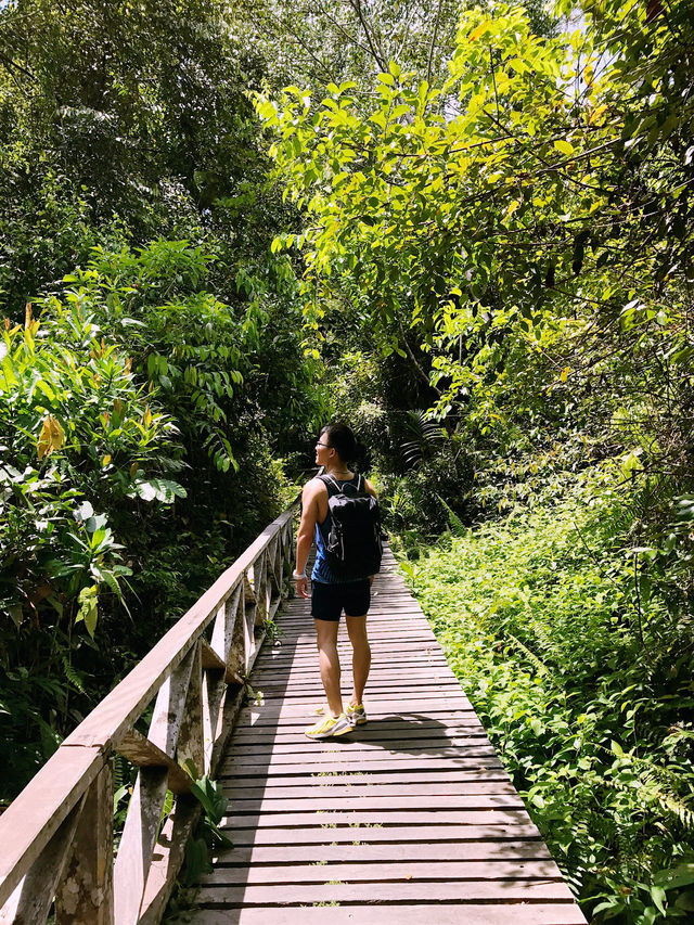 Conquer Niah Cave!!!