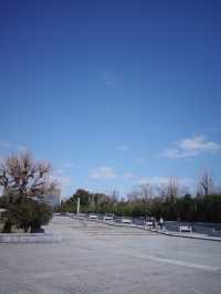 【大阪淡路島】淡路夢舞台😍欣賞安藤建築的好去處