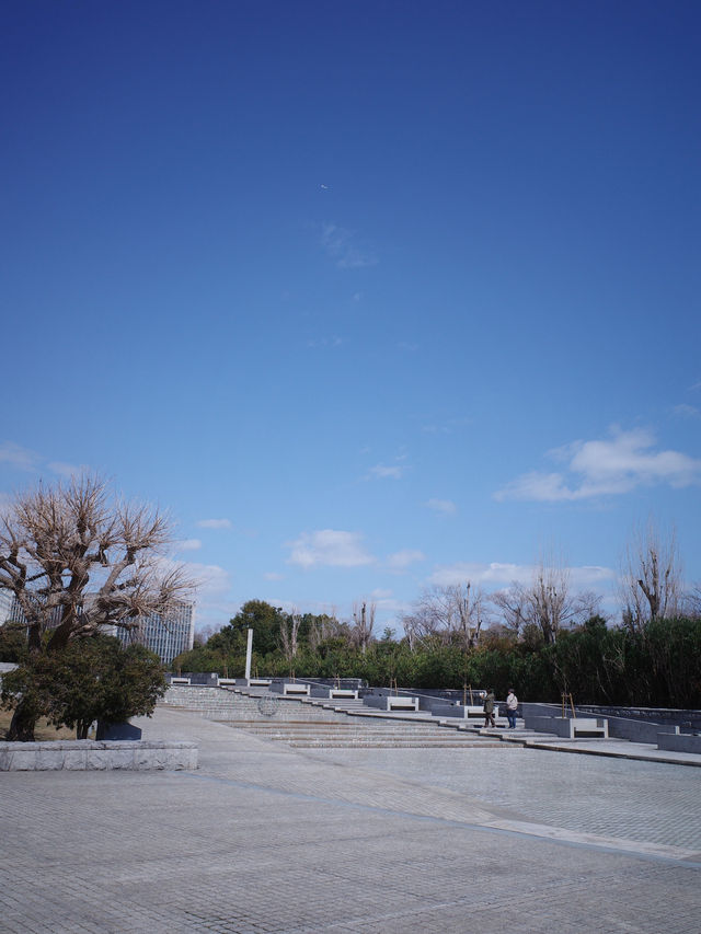 【大阪淡路島】淡路夢舞台😍欣賞安藤建築的好去處