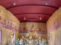 Paranoma View In My Phone's I