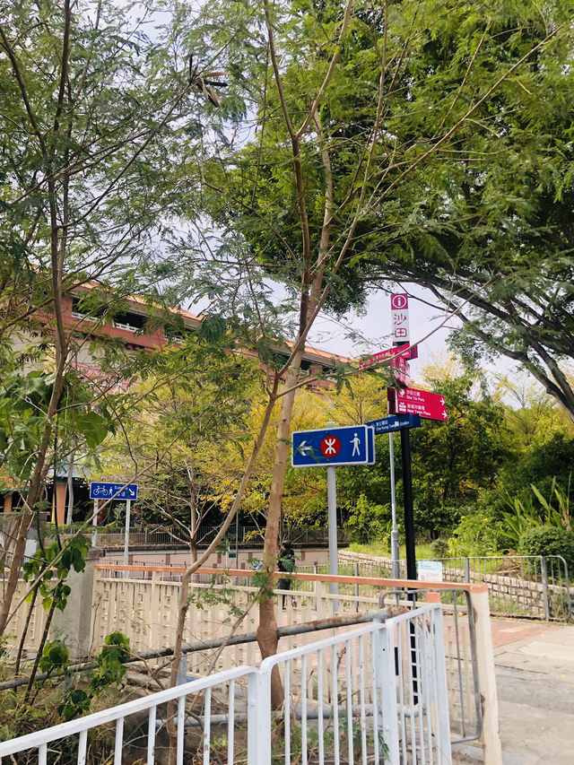 不同文化的免費展覽館