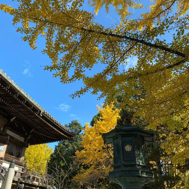 【兵庫】播州清水寺