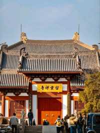 The Beauty of Nanxiang Ancient Town