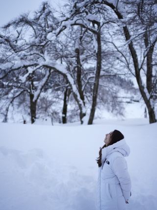 雪國靜修之旅/新潟