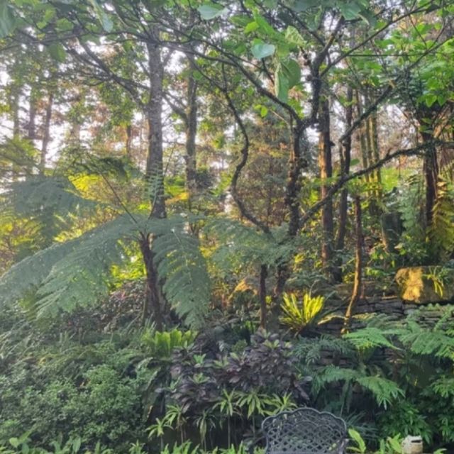 【巴馬國家公園日觀】