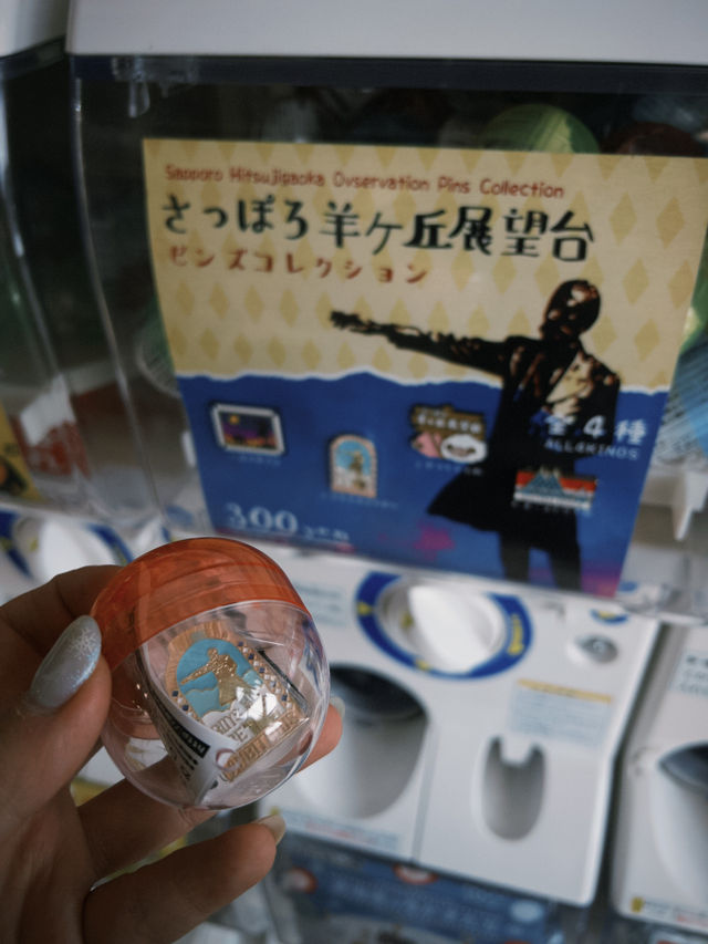 北海道札幌不能錯過這裡！羊之丘展望台超好玩😍