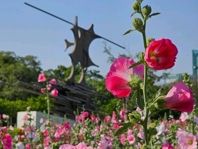 สวนจตุจักรทำถึง ทุ่งดอกไม้กลางกรุง