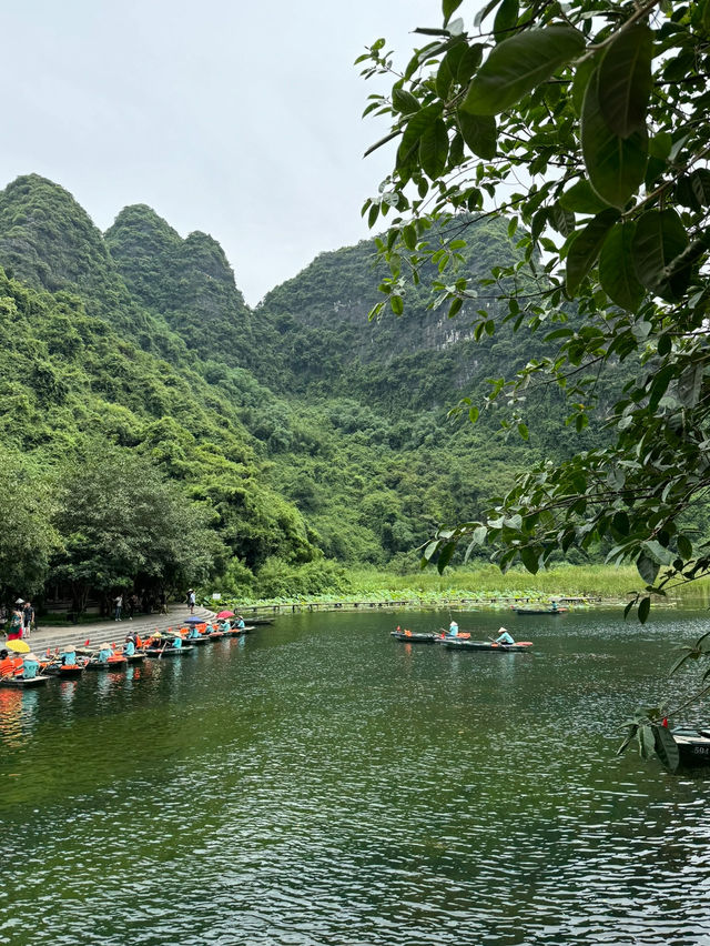 PADDY FIELDS IN TRANG AN, NINH BINH 🇻🇳