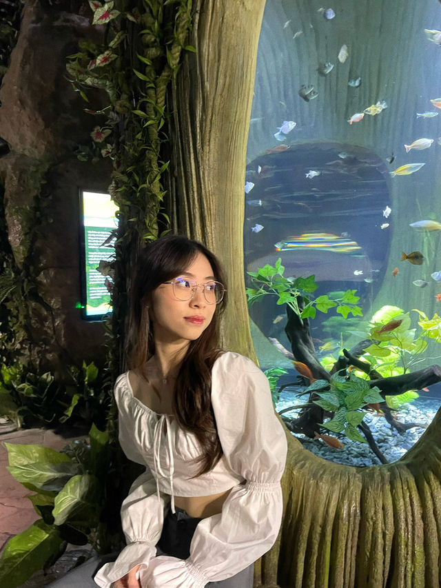 Underwater Adventure Lotte Aquarium