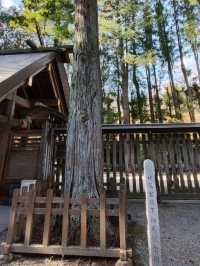 日本神話起源的天岩戶神社&天安河原
