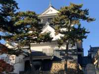 【愛知・岡崎】岡崎城🏯