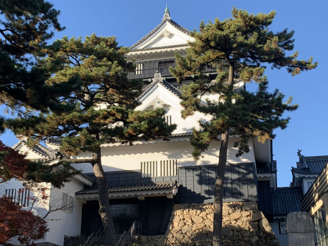 【愛知・岡崎】岡崎城🏯