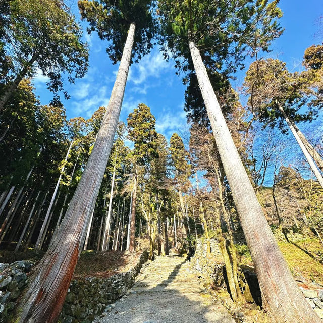 鷲尾愛宕神社 | 清幽寧靜