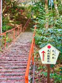 【徳島県】小山の上に佇むパワースポット