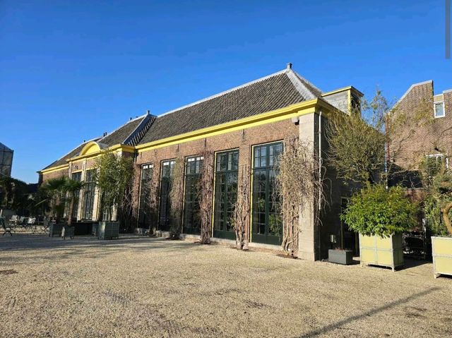 Leiden's Botanical Garden (Hortus Botanicus)