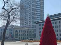 Harbin: A Symphony of Culture and History