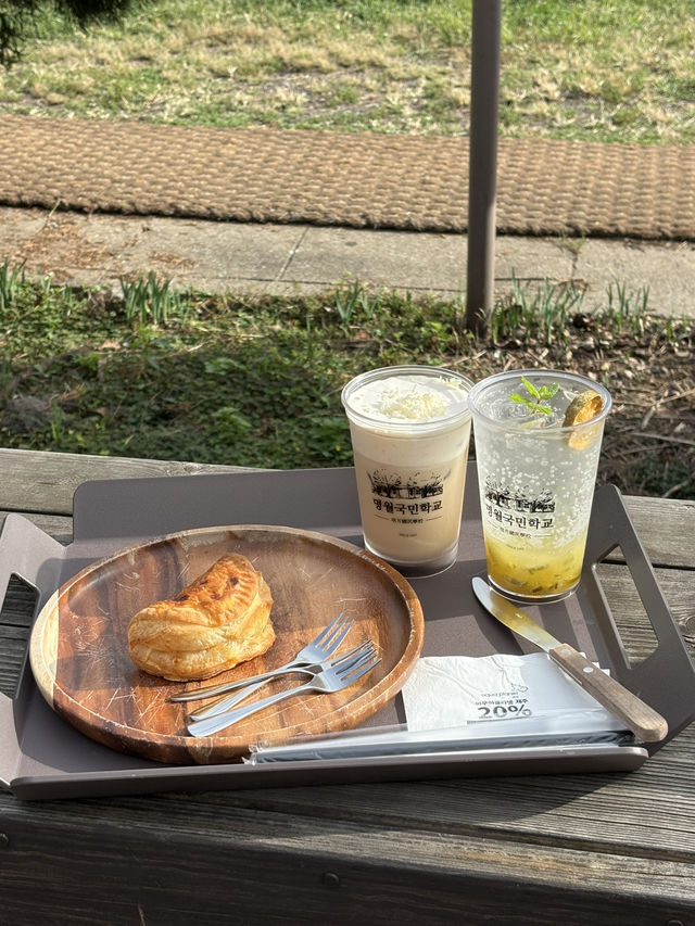 제주도 봄여행 추천 [명월국민학교]🌼