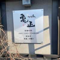 【別府】🇯🇵 亀正くるくる寿司