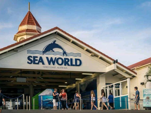 "Gold Coast: Australia’s Playground of Sun, Surf, and Adventure"