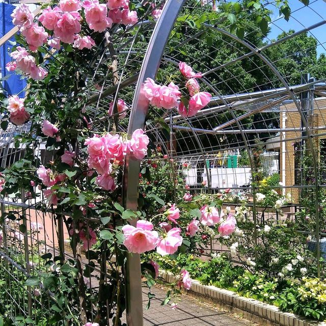 Meijo Park (名城公園)