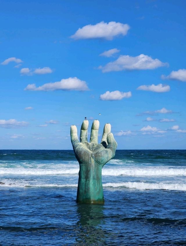 포항 대표 관광지 💙호미곶🩵