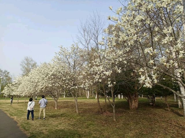 Makomanai Park