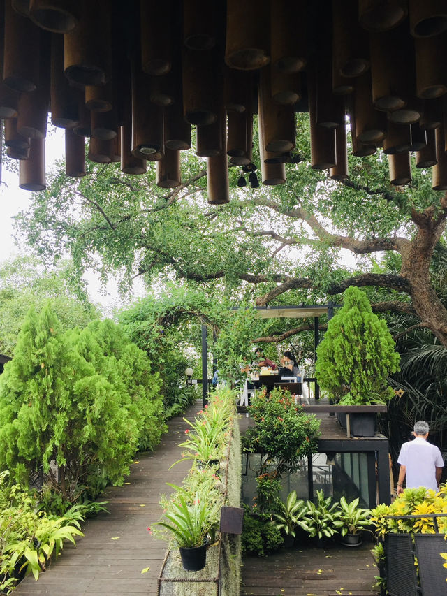 หนีเมืองมาสูดอากาศบริสุทธิ์ที่ Bangkok Tree House