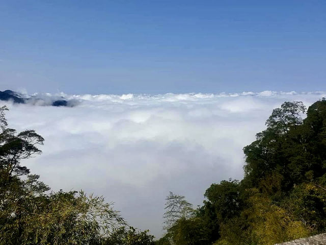 隙頂的二延平步道看雲去