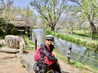 日本阿爾卑斯山麓單車之旅～大王山葵農場